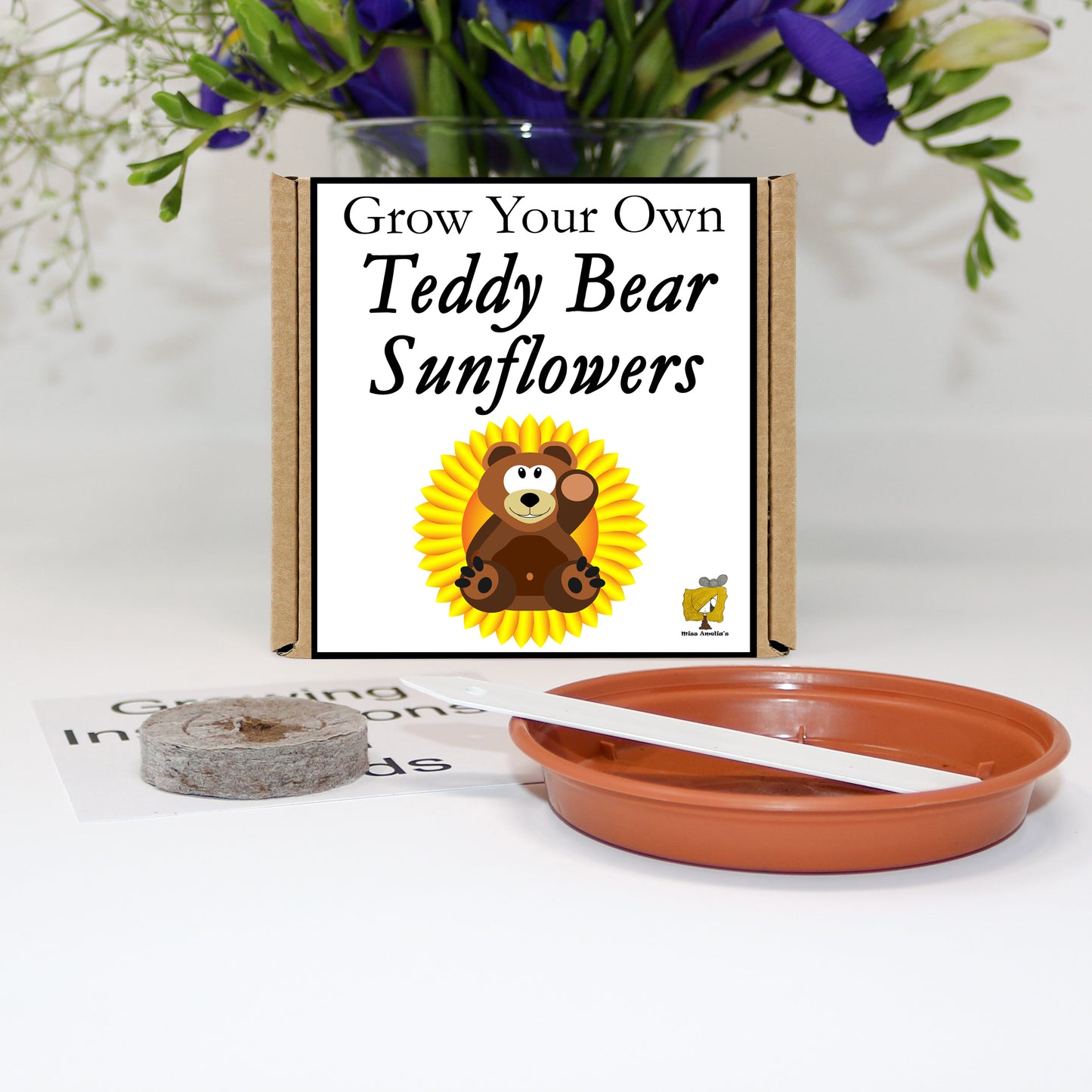 Grow Your Own Teddy Bear Sunflower From Seeds